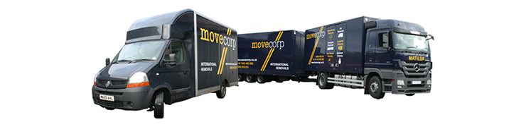 European Removals